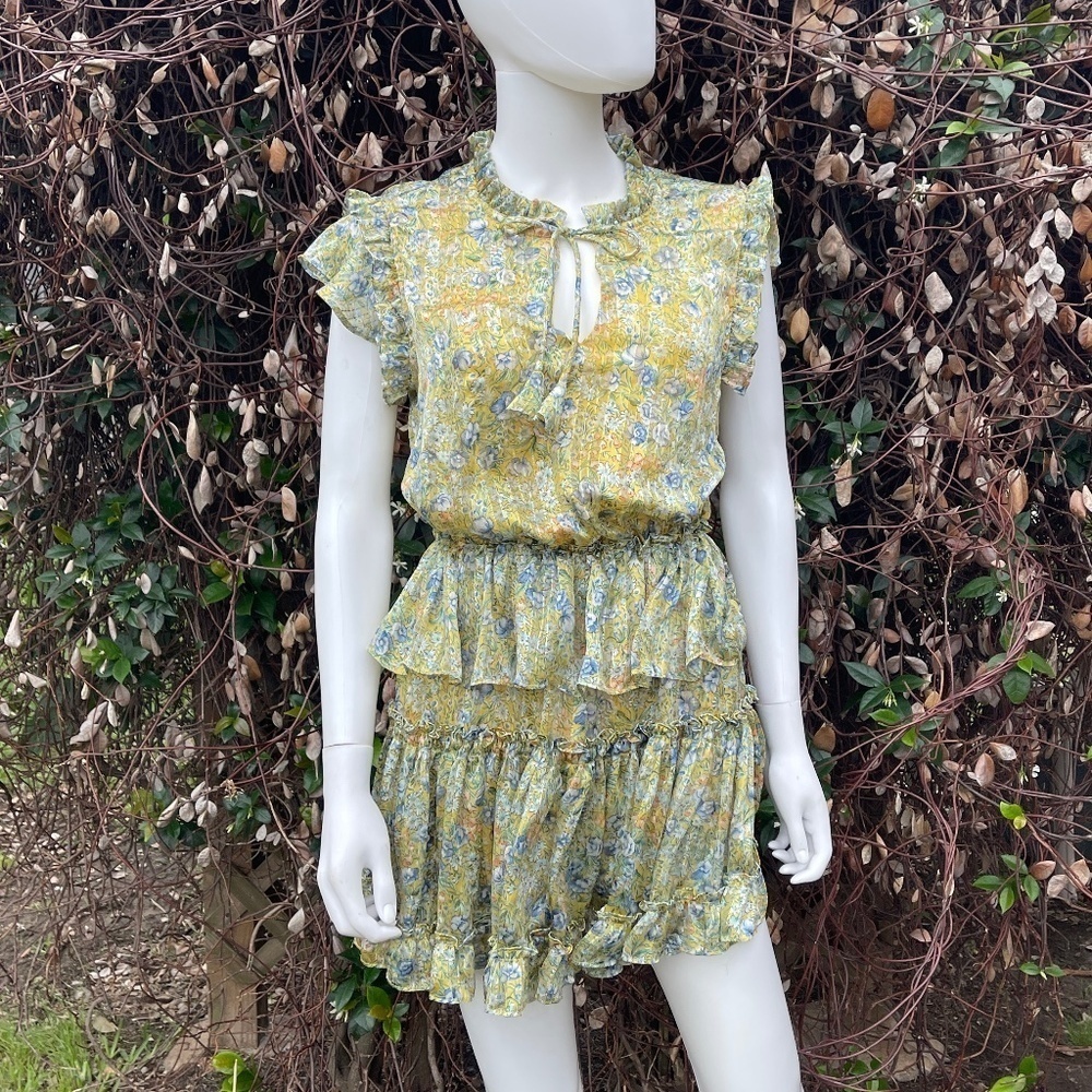💋RESET Floral Print Ruffle Short Sleeve Layered Skirt Mini Dress